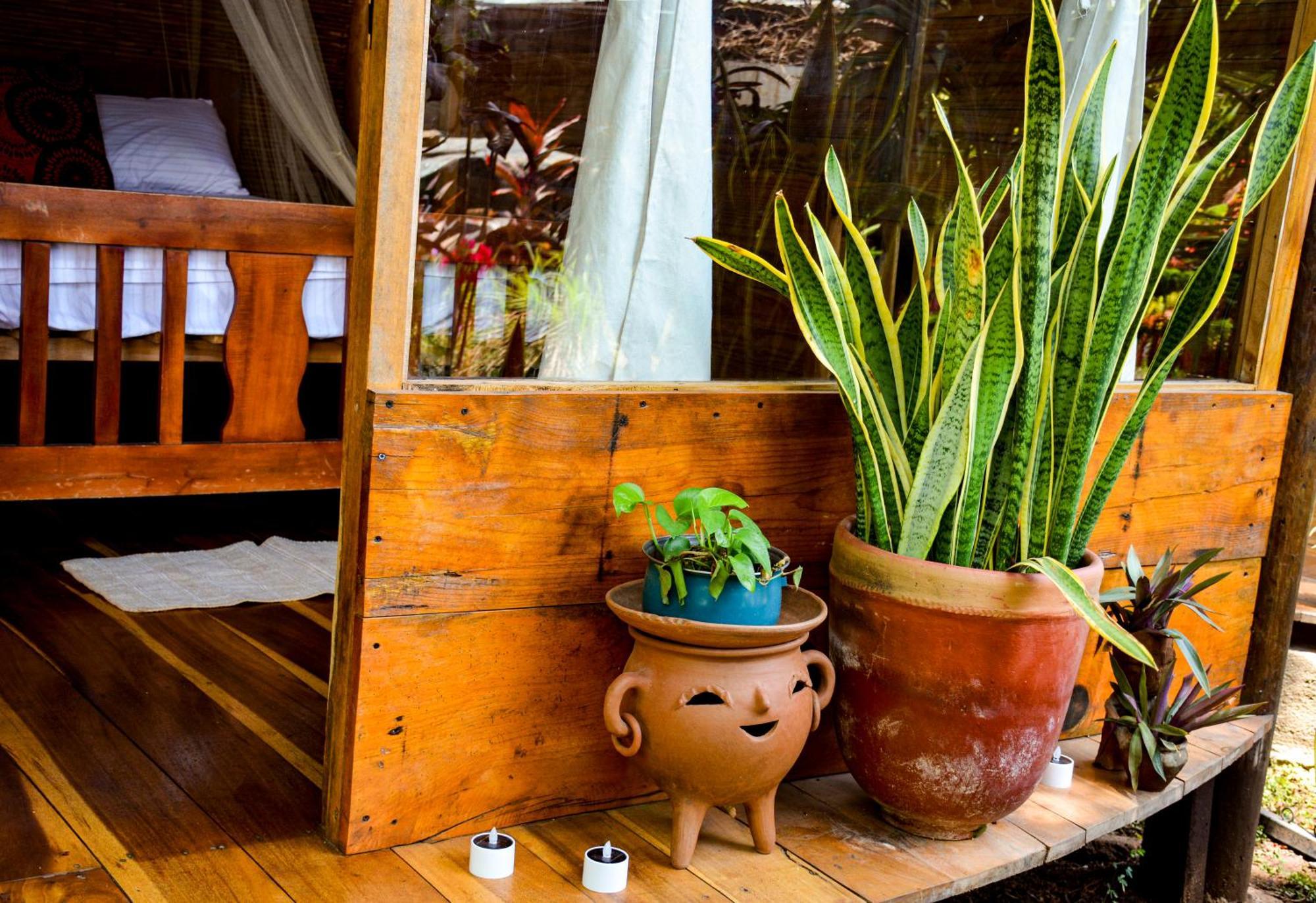 Hotel Casa Caracola à Granada Extérieur photo
